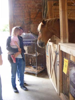 Sarah wants to pet the horse.