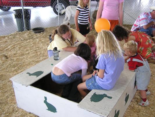 Malia and Noah with several other children at the petting zoo at  the Gallatin County Fair.