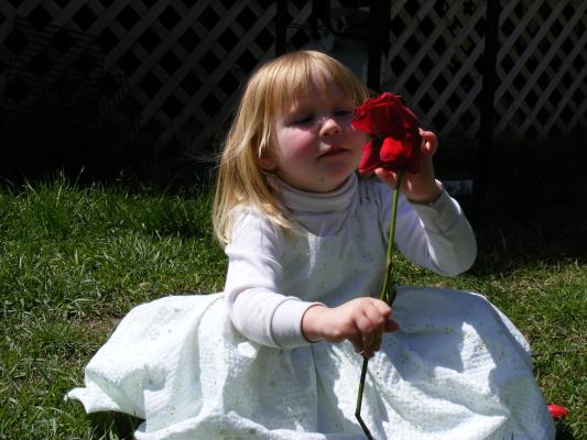 Sarah plays with a red rose.