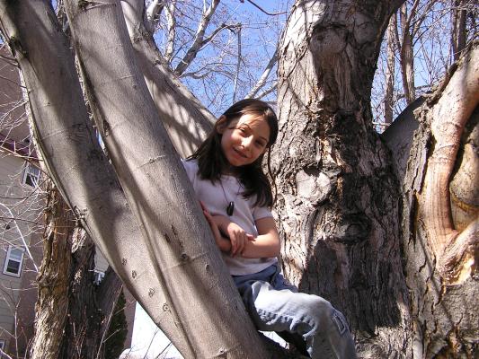 Andrea climbed a tree.