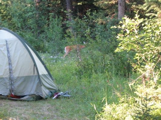 Eder Family Camp 2006