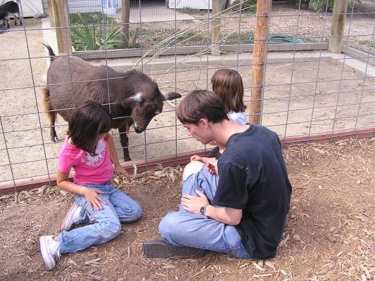 The kids enjoy the goats at Zoo Montana.