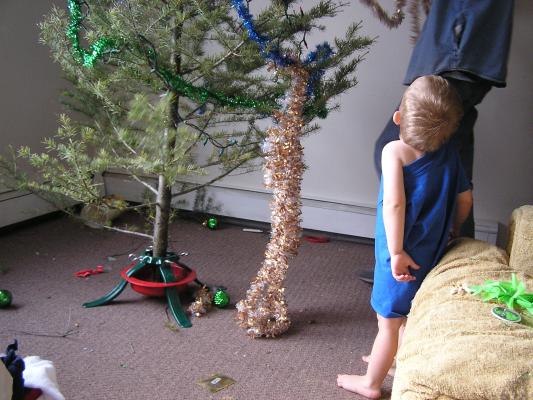 Noah watches David put garland on the tree.