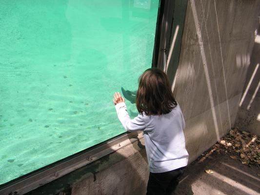 Andrea watches the otter.