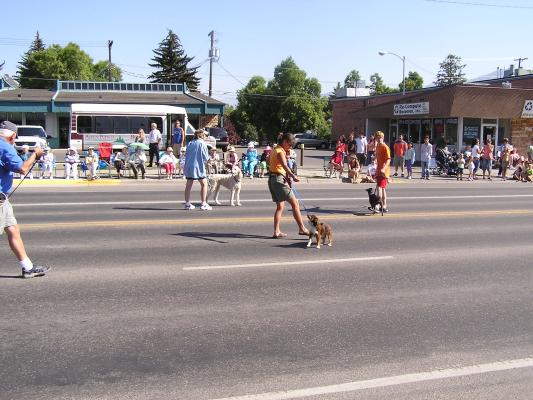 Galloping Dog Agility and Flyball Club
Sweet Pea Festival Parade.