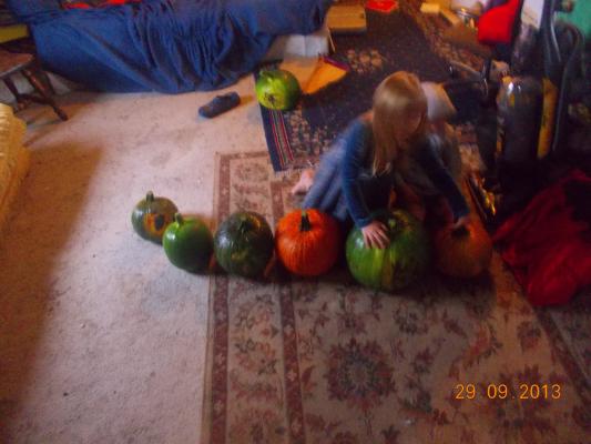 Sarah and the pumpkins.