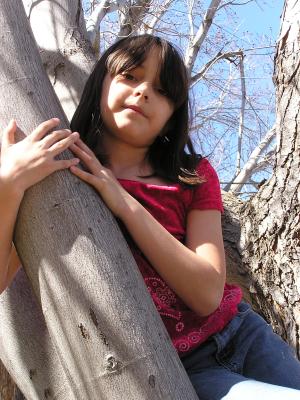 Malia climbs a tree.