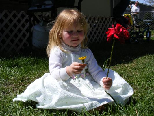 Sarah plays with some flowers on the lawn.