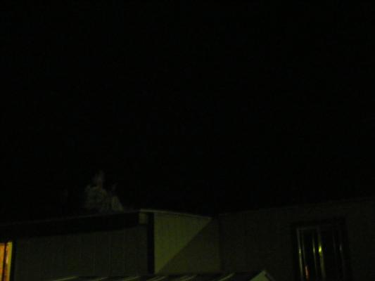 Everyone on the roof.
