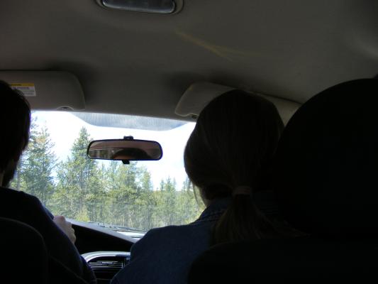 Driving through Yellowstone.