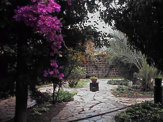 Garden in Galilee