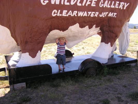 Noah stands under the big cow.