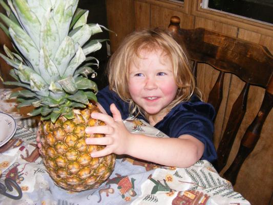 Sarah wanted a pineapple.