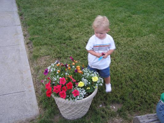Noah plays with the flowers.