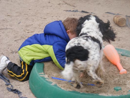 Noah and  the dog play in the sand