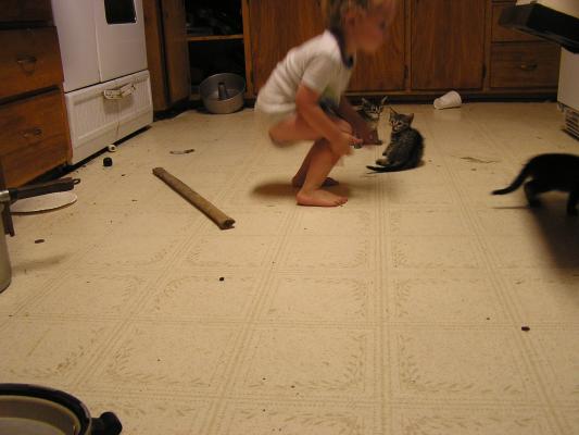 Noah chases kittens