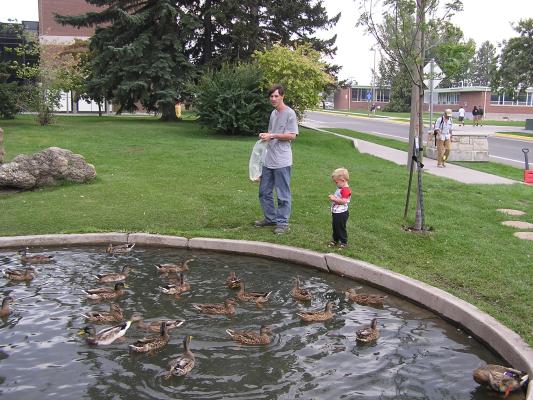 David and Noah feed the ducks at the college.