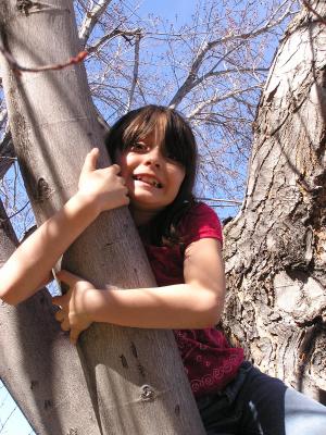 Malia climbs a tree.