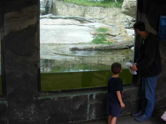 Noah and David by the otters.