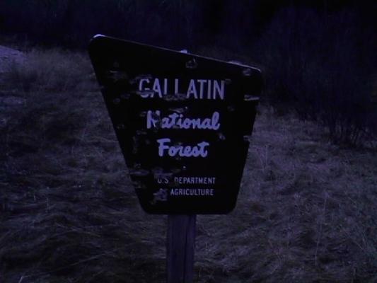 Gallatin National Forest