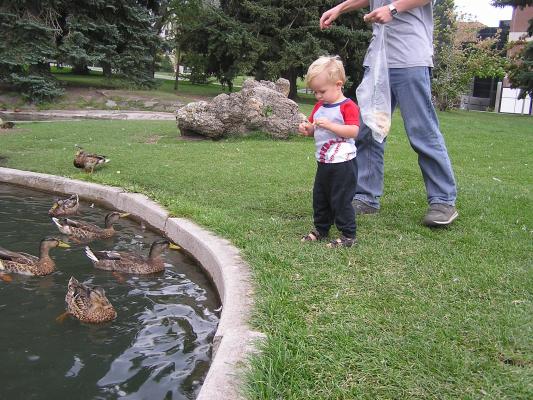 Noah breaks off a piece of pancake to feed to the ducks.