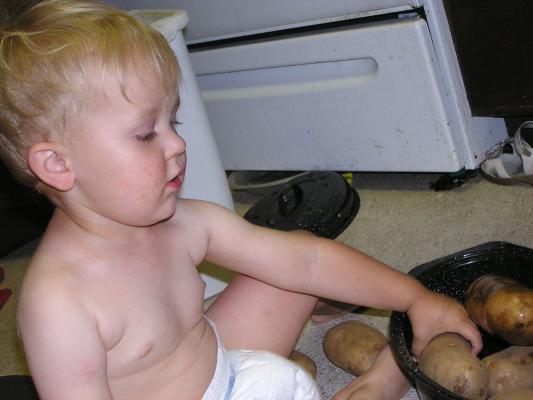 Noah likes to cook potatoes in a pan.