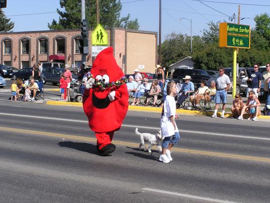 American Red Cross
Sweet Pea Festival Parade.