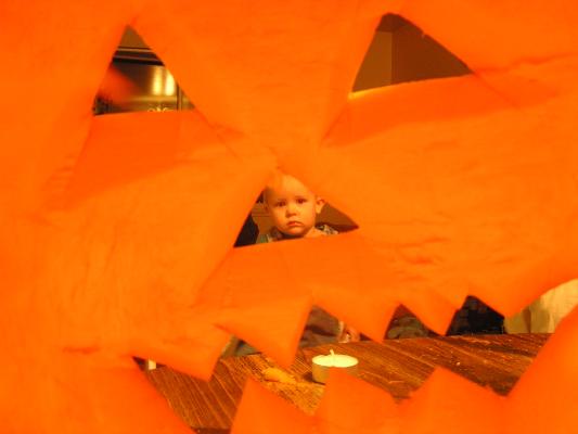 Noah, from the pumpkin's point of view.