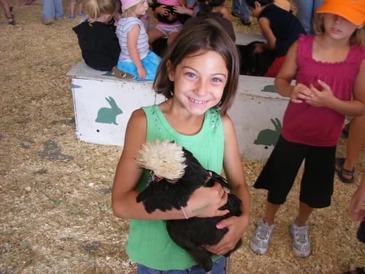 Andrea hold a chicken at the Gallatin County Fair.