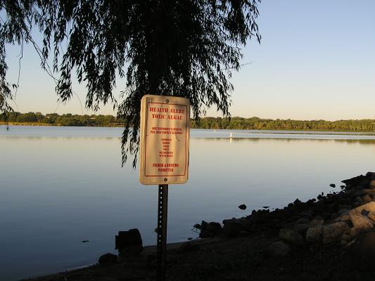 Health Alert Toxic Algae
Lake Temporarily Closed to Full-Body Contact Activities
Swimming, Wading, Skiing, PWC's Sail Boarding, Pets in Water.
Fishing & Boating Permitted.