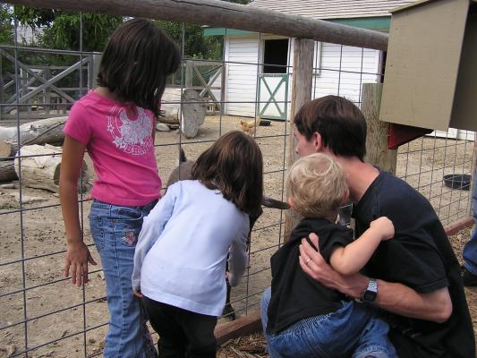 Malia, Andrea, Noah and David enjoy the goats.