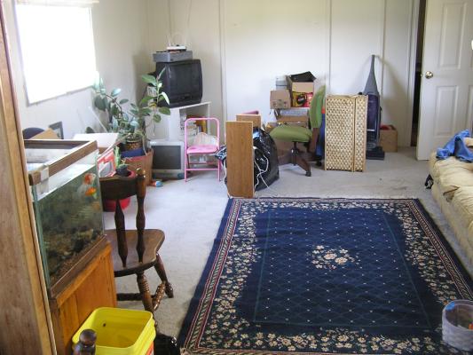 Here is our living room. It still has a few boxes in it.
