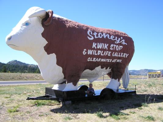 Stoney's KWICK Stop & Wildlife Gallery
Clearwater Jct. MT.