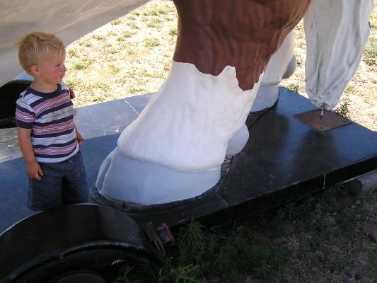 Noah looks at the big cow's leg.