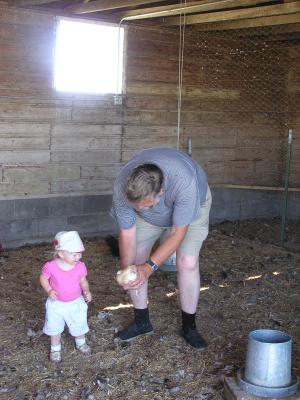 We are at Garner's farm. Sarah examines the poultry.