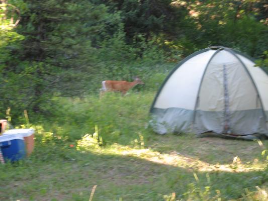 Eder Family Camp 2006