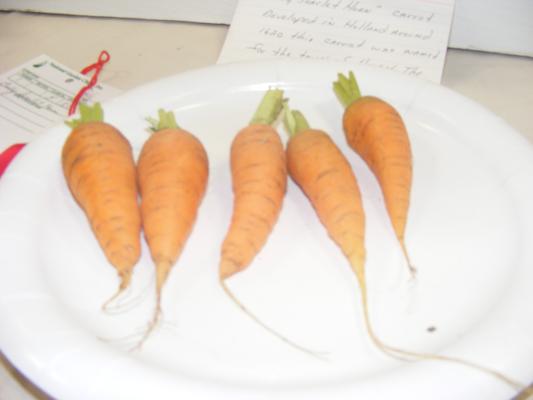 Carrots at the fair