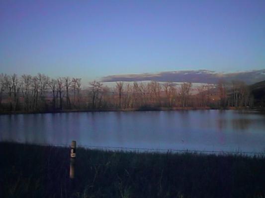 Pond near Bozeman, MT