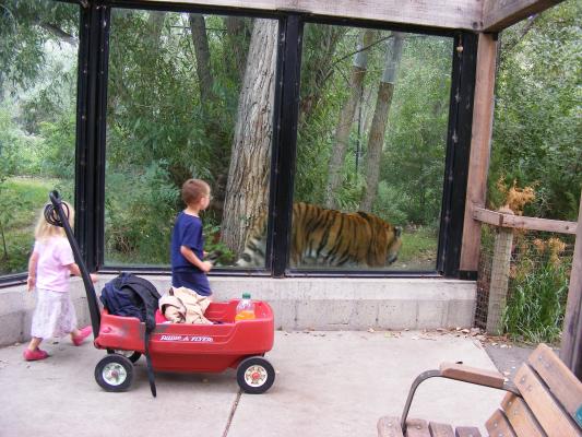 We brought our red wagon to the zoo.