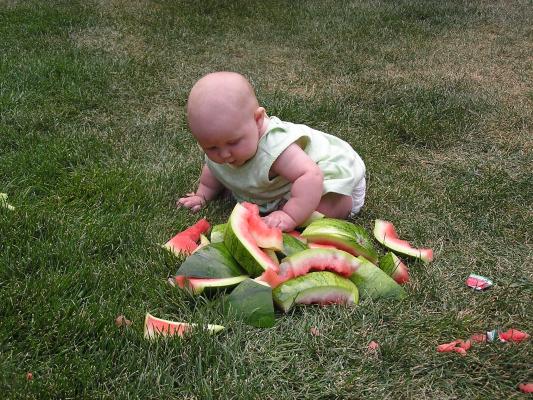 Sarah attacks the pile of watermelon rhines.