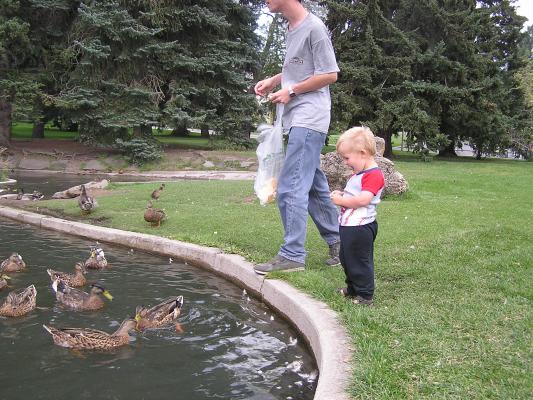 David and Noah feed the ducks.