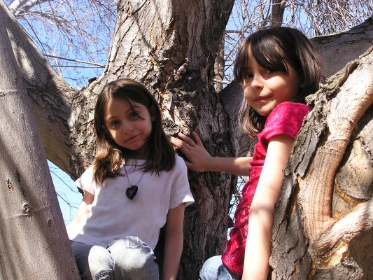 Andrea and Malia climb a tree.