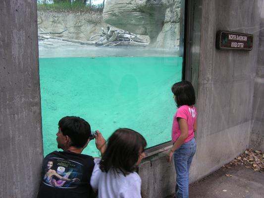The kids wait for the otter to come back.