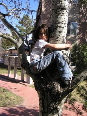 Andrea climbs another tree.