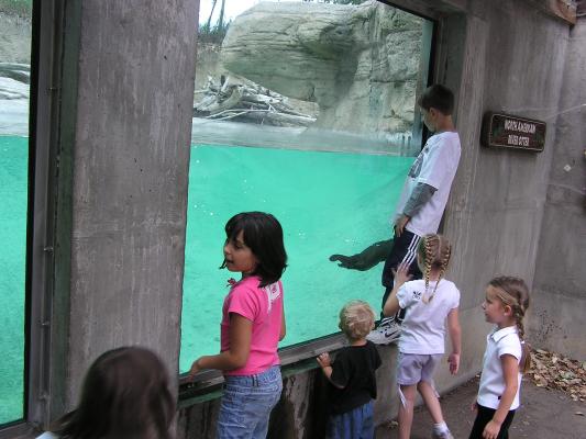 The kids watch the otter swim around.